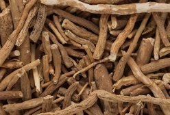 Ashwagandha root