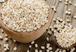 Barley