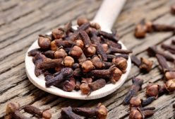 Cloves4