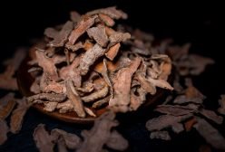Lakadong turmeric4