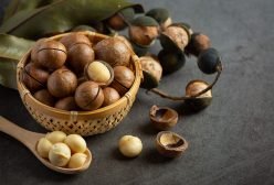 Macadamia3