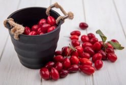 crane berry2