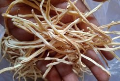musli4