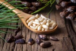 pine nut