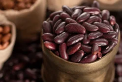 rajma