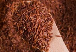 red rice4