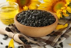 sunflower4