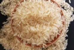 usna rice4
