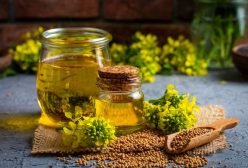 yellow mustard oil4
